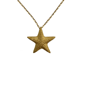 گردنبند ستاره دریایی NC016